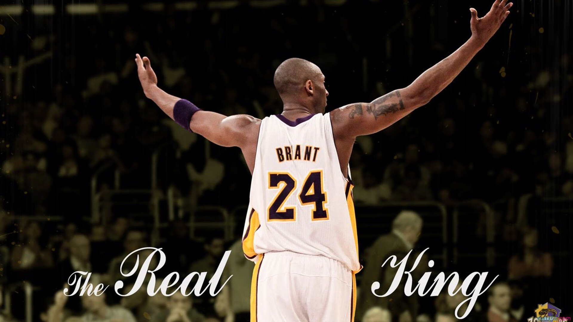 _体育评论员深度解读：比赛背后的故事_，竞赛背后的故事