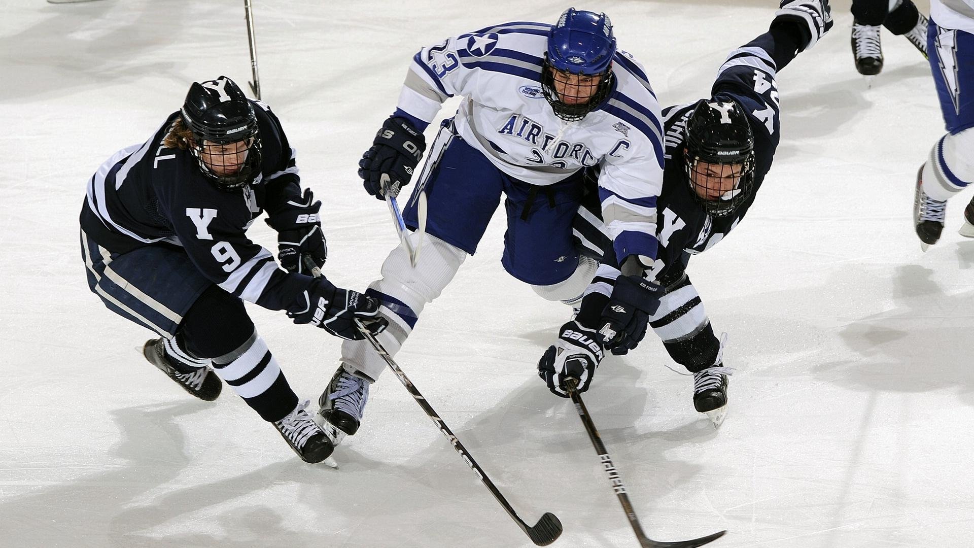 特色民俗运动：传统技艺的现代展现，特色民俗活动介绍